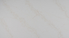 SD6069 ORO Color Cuarzo Calacatta Regular